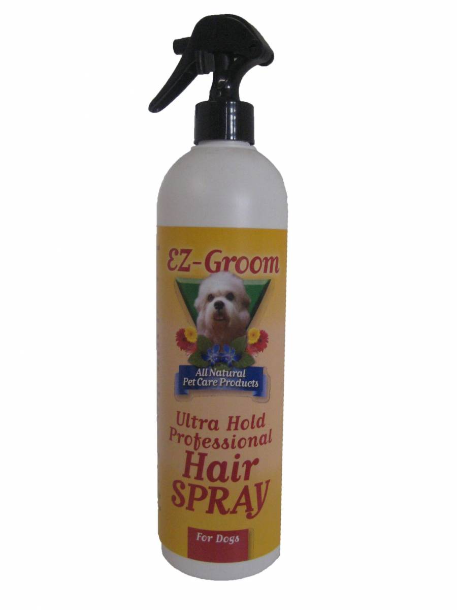 EZ-Groom Ultra Hold Professional Hair-Spray